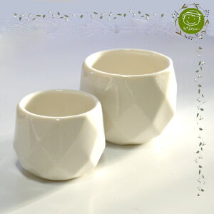 �yGARDEN��FLOWER�EPLANTER�z�~�j�A�ؔ��E���_���z���C�g