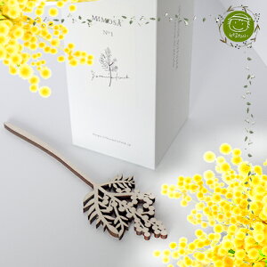 yINTERIORECeAzA}fBt[U[ ~U̍120mlyAR F{ z