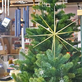 楽天市場 ツリートップの通販