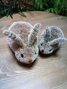 yBrush AnimazrbgBrown L