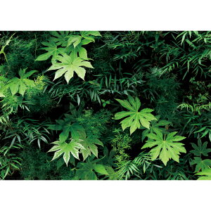 C|X^[@EH[O[1@h|X^[@ӂ|X^[@KC