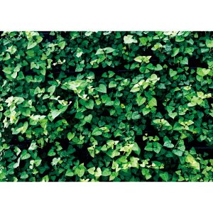 C|X^[@EH[O[2@h|X^[@ӂ|X^[@KC