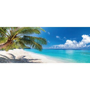 C|X^[@̓ipm}j@h|X^[@ӂ|X^[@KC