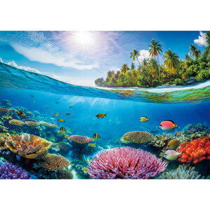 C|X^[@CƑñt@^W[1@h|X^[@ӂ|X^[@KC