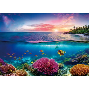 C|X^[@CƑñt@^W[2@h|X^[@ӂ|X^[@KC