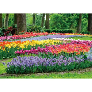 C|X^[@X̃K[f@h|X^[@ӂ|X^[@KC