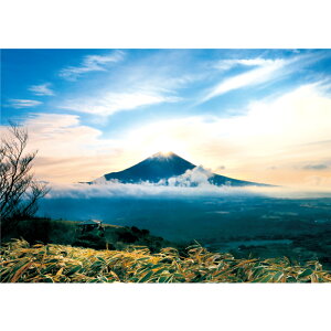 _Chxm@yƖpTCYz@h|X^[@ӂ|X^[@KC