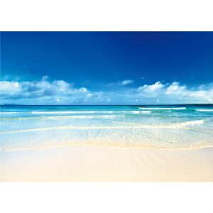 썑̍l@yƖpTCYz@h|X^[@ӂ|X^[@KC