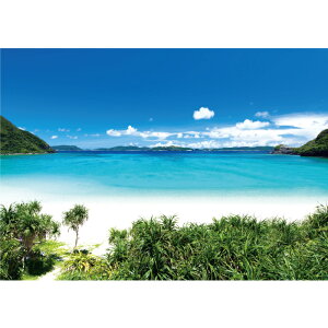 鋫̃q?[`@yƖpTCYz@h|X^[@ӂ|X^[@KC