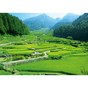 lJ̐疇c@yƖpTCYz@h|X^[@ӂ|X^[@KC