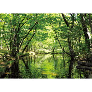 ΂̏@yƖpTCYz@h|X^[@ӂ|X^[@KC