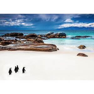 C|X^[@C֌yM@h|X^[@ӂ|X^[@KC