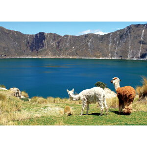 C|X^[@ñApJ@h|X^[@ӂ|X^[@KC