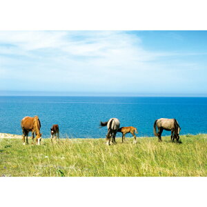 C|X^[@Hޔn@h|X^[@ӂ|X^[@KC