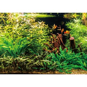 C|X^[@f̃ANAE1@h|X^[@ӂ|X^[@KC