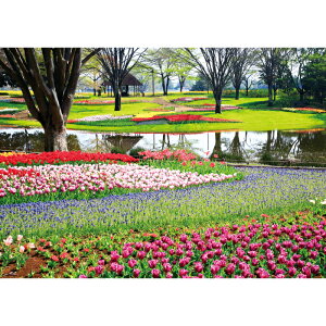 C|X^[@t̉Ԃƌ@h|X^[@ӂ|X^[@KC