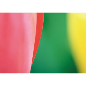 C|X^[@`[bvJ[ԁ@h|X^[@ӂ|X^[@KC