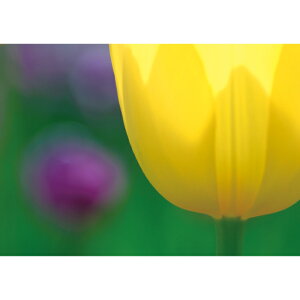 C|X^[@`[bvJ[@h|X^[@ӂ|X^[@KC