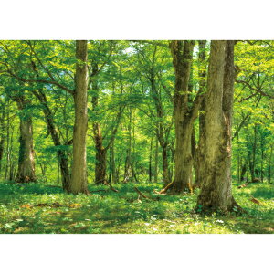 C|X^[@t̐X@h|X^[@ӂ|X^[@KC