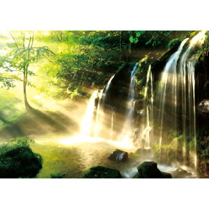 C|X^[@󂯂@h|X^[@ӂ|X^[@KC