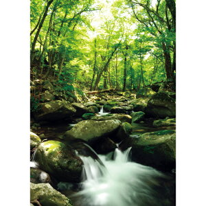 C|X^[@k(c^)@h|X^[@ӂ|X^[@KC