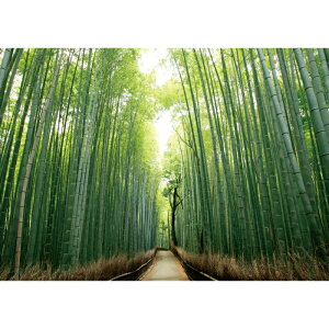 C|X^[@|ѓ@h|X^[@ӂ|X^[@KC