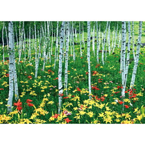 C|X^[@ƃ@h|X^[@ӂ|X^[@KC