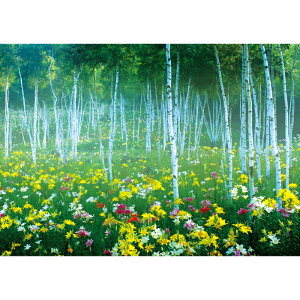 C|X^[@YX@h|X^[@ӂ|X^[@KC