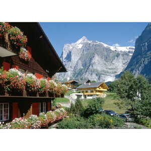 C|X^[@Bb^[zƃV[@h|X^[@ӂ|X^[@KC