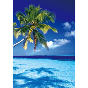 C|X^[@P󐣁@h|X^[@ӂ|X^[@KC