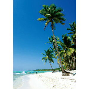 C|X^[@̃][g@h|X^[@ӂ|X^[@KC