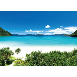 C|X^[@鋫̃r[`@h|X^[@ӂ|X^[@KC