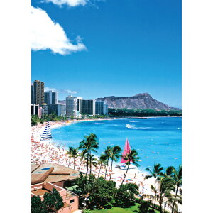 C|X^[@CLLr[`ƃ_Chwbh(c^)@h|X^[@ӂ|X^[@KC