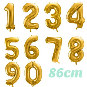  o[ rbO [S[h 86cm] D io[o[  io[ 傫 a o[Xf[ a Nj Ajo[T[ p[eB[ t@[Xgo[Xf[ 1 2 3 D 