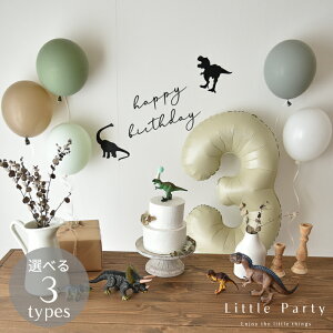 a t Zbg j̎q  o[Xf[ _Ci\[ p[eB[ D  o[  io[o[ o[K[h eBmTEX ݃J[ IV 