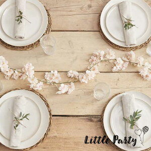 tFCNO[ K[h [TN 1.8m]  CeA     p[c tFCNt[ [X oi[ t t w Ԍ ƉԌ Ԍ Xܑ y [Ginger R