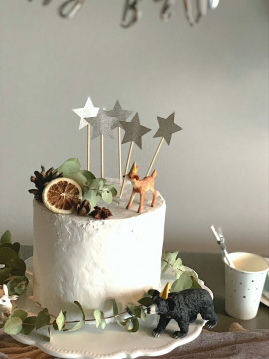 楽天市場 カップケーキトッパー シルバースター 6本セット シルバー スター 星 ケーキトッパー 誕生日 バースデー パーティー ホームパーティー カップケーキ ケーキ 装飾 ケーキ飾り付け デコレーション あす楽 Partydeco Little Party