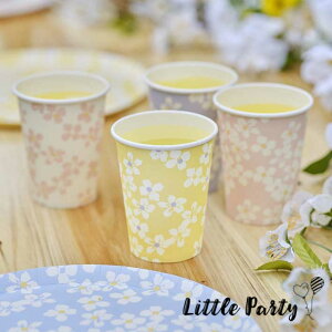 y[p[Jbv t[ pXe [8] NX}X ԕ sN u[ CG[ zCg pXeJ[ a o[Xf[ p[eB[ Jbv a p[eB[ EFfB