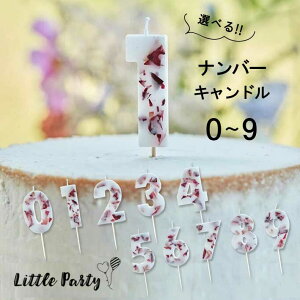 io[Lh t[No.0`9  [Pressed Petal Birthday Cake Candle] Lh 낤 E\N Lh P[Lp a aP[L o[Xf[ 1 2 3 4 100j N 