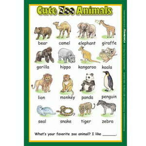 L[gEY[EAj}Y |X^[ Cute Zoo AnimalsycEwEwɃIXX pꋳށz