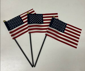American Stick Flags y~j`AE[Epꋳށz