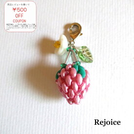 【ステッチで可愛いいちごを！】改訂版イチゴチャーム～ピンク～/ビーズアクセサリーキット ビーズチャーム チャーム ビーズステッチ パーツ ハンドメイド アクセサリー キット 手作りアクセサリー 手作りキット リトルビーズビレッジ 大人 イチゴ いちご 可愛い 苺