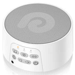 Dreamegg zCgmCY}V obe[ 29 iKʒ CzΉ ΍ ObY s΍ Ԃ ~ Q D3 ProizCgj