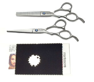 montesoroy pz5_wAJbgnT~ ZjO ZtJbg Kтɂގ (5.5E5.520)