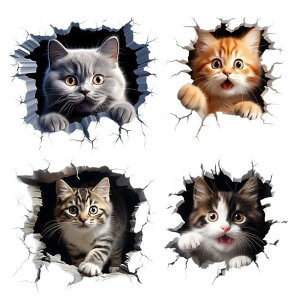 BIUTEFOR  XebJ[ LXebJ[  B V[  J[XebJ[ hEĂ~ J[piXebJ[ }`ViIEAvP[V