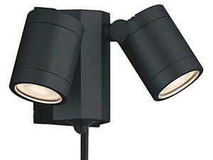 RCY~Ɩ AEghAX|bgCglZTt(M60W×2)F AU43205L