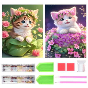 TRX _ChA[g Lbg _Ch̊G 2Zbg ꂢ Sʓ\t _ChA[g 5D S l̎q DIY |Lbg Ƃ̕ǂ̑ (lR)