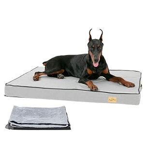 BingoPaw ^pNbVxbh 􂦂 Vxbh h~ h }bgX ^ ϊ jȂ v /~ I[V[Y ʔN LTCY