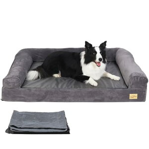 BingoPaw  xbh ^  NbV 􂦂 \t@ t xbh h~ ^ I[V[YΉ ybgxbh  VjA ̈U h