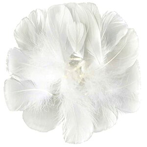 Doyeemei HV[ tFU[V[ H Ղ 200 H Ղ 200 tFU[ EFfBO  a Cxg p[eB[ |ޗ DIY zCg